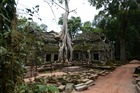 発見された当時の姿のまま残るタプローム寺院