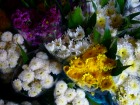 生花市場として名高い市場は花で溢れている