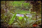 バリ島の自然の中でラフティング