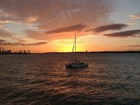 ニュージーランドの海に沈む夕日