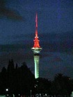 高さ328メートルの南半球で最も高いスカイタワーの夜景