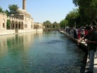 神聖な鯉が泳ぐ静かな池とハリル・ラフマンモスク