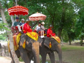 タイでの象乗り体験は楽しみの一つ！