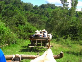 タイの田舎で牛舎に揺られる