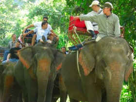 タイの象乗り体験。頭に乗れたらラッキー!?