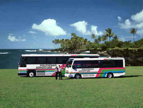 マウイ島の休火山ハレアカラを快適なバスで巡る