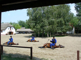 ラヨシュミジェの牧場の伝統的な馬術ショー
