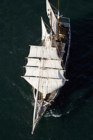 シドニーの青い海に白い帆船が映える