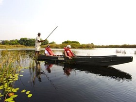 伝統のモコロボートはオカバンゴデルタで必須のアクティビティ！