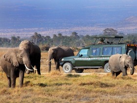 ケニアで人気ナンバーワン、マサイマラ国立保護区でサファリ！