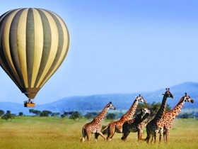 マサイマラ国立保護区でのバルーンサファリ（熱気球）の追加もお勧め