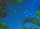 空には満天の星！