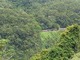 運がよければ列車が見えるかも！