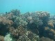 魚がいっぱい