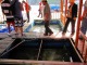 ちょっと停泊して魚を