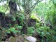 草木や苔に覆われてしまっている