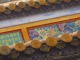 見ていて飽きない