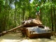 当時の戦車が残されています。