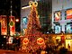 11月末から1月頭にかけてはクリスマスライトアップもご覧いただけます。