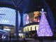 11月末から1月頭にかけてはクリスマスライトアップもご覧いただけます。
