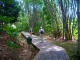 公園内