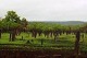 リッチフィールド国立公園に並ぶアリ塚