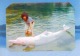 ピンクドルフィンにタッチ＆記念写真