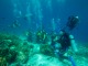 感動の海の世界