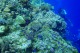 魅力いっぱいヒルトガン島
