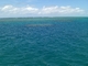 一面に広がる青い海