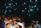 土ボタルと夜行性動物探検ツアー(エコツーリズムオーストラリア認定ツアー!)
