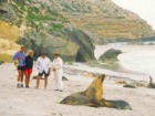 カンガルー島サウスコースト 1日4WDツ...