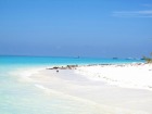 透明度の高い海でリゾート気分