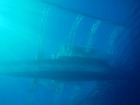 ボホールエリア(カビラオ)を潜る! セブ...