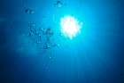 セブ島で半日ダイビング！ヒルトガン島もし...