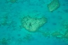 日本語ガイド送迎付きで安心！ グレートバリアリーフ30分遊覧飛行 グリーン島、ウポルケイ、アーリントンリーフを空から眺めよう！