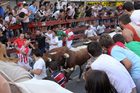 パンプローナ 牛追い祭り サン・フェルミ...