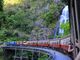 格安キュランダ スカイレール+列車+片道送迎