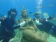 セブ島で半日体験2ボートダイビング！マクタン島周辺