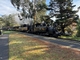 日本語ガイドと行く! ダンデノン国立公園&ヤラバレーワイナリー1日  パッフィングビリー蒸気機関車付