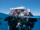 PADI 4日間オープンウォー