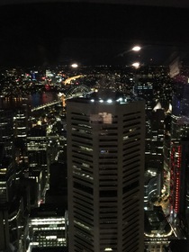シドニー市街一望