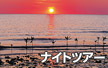 ナイトツアー