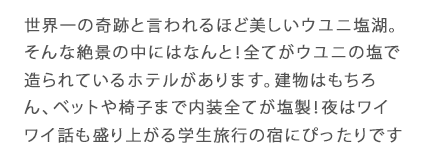 世界一の奇跡と言われるほど美しいウユニ塩湖。そんな絶景の中にはなんと！全てがウユニの塩で造られているホテルがあります。建物はもちろん、ベットや椅子まで内装全てが塩製！夜はワイワイ話も盛り上がる学生旅行の宿にぴったりですね♪