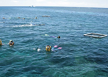 世界遺産グレートバリアリーフ