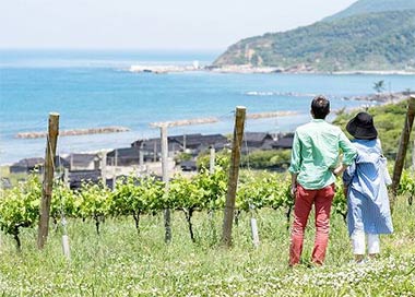 石川県輪島市 海辺の丘のハイディワイナリー