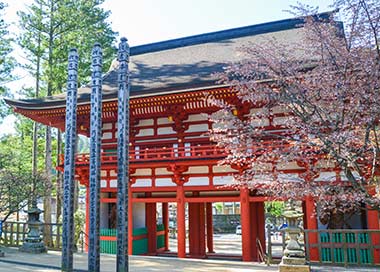 和歌山・高野山（オンライン）