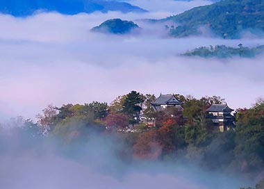 日本のお城（オンライン）