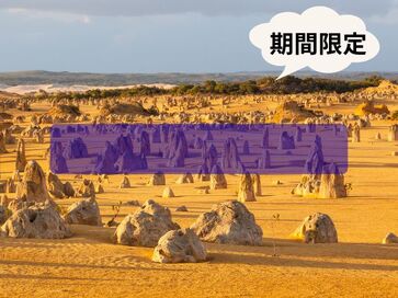 学生旅行 割引商品