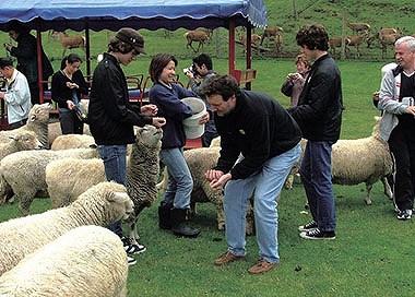 動物とふれあう